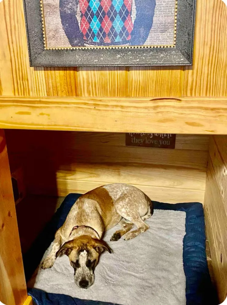 Stella is relaxing after a long day!