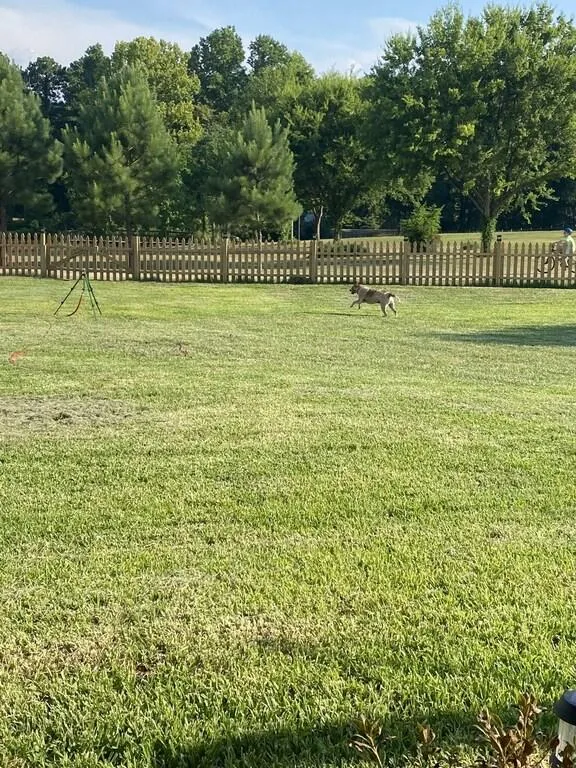 Large fenced yard for your furry friend to play.