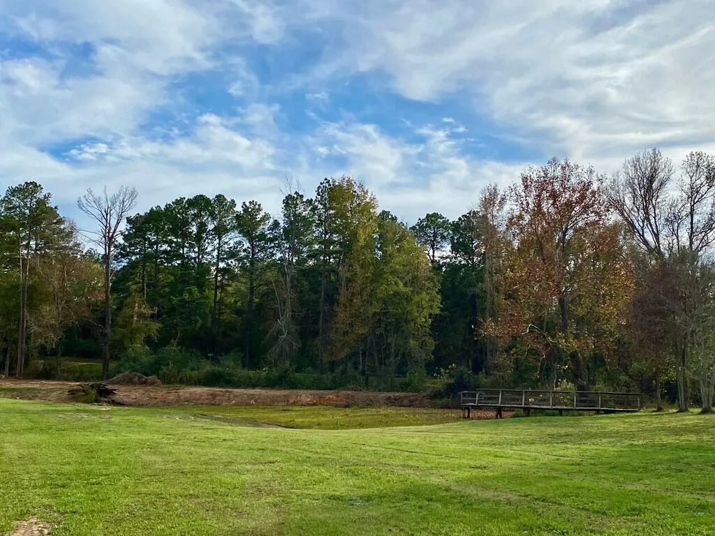 Large pond on our 3 acre property.